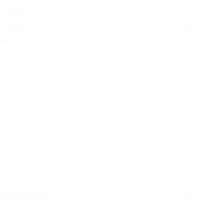 Logo Layqa