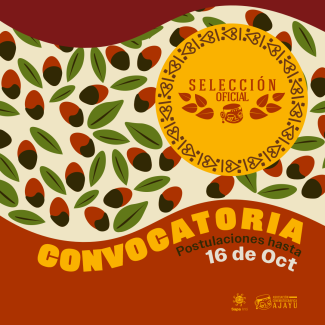 Convocatoria SO