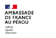 Emabajada francesa logo